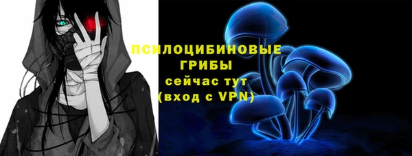 стаф Волосово