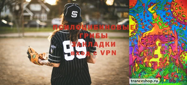 стаф Волосово
