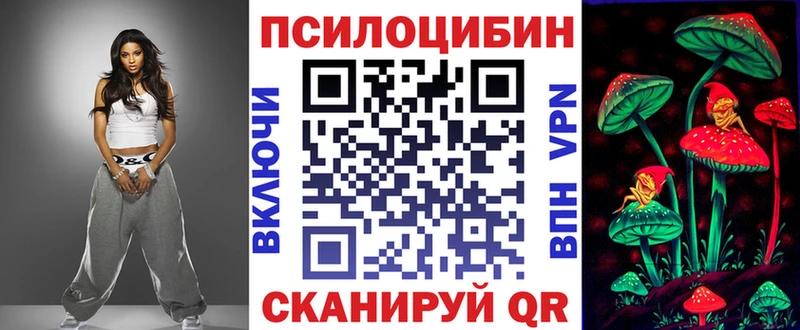 Купить закладки  Новоржев  Псилоцибиновые грибы мицелий 