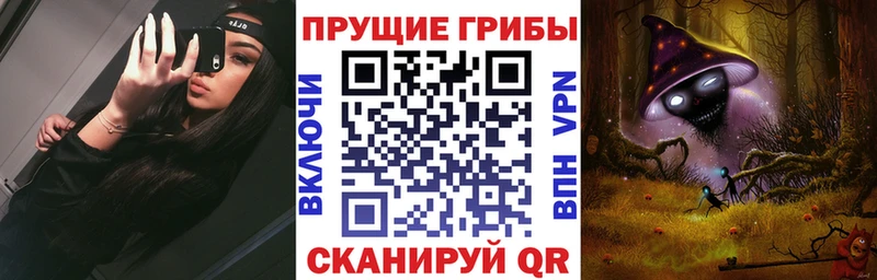 Галлюциногенные грибы Psilocybine cubensis Новоржев
