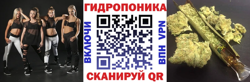 Бошки марихуана марихуана  Купить  Новоржев 